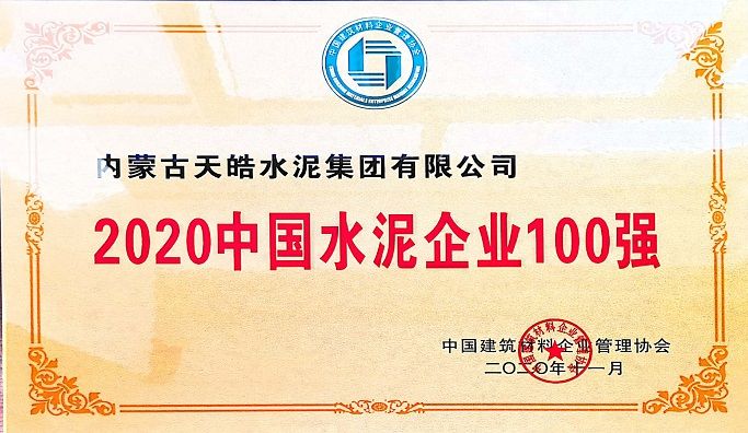 2020中国水泥企业100强